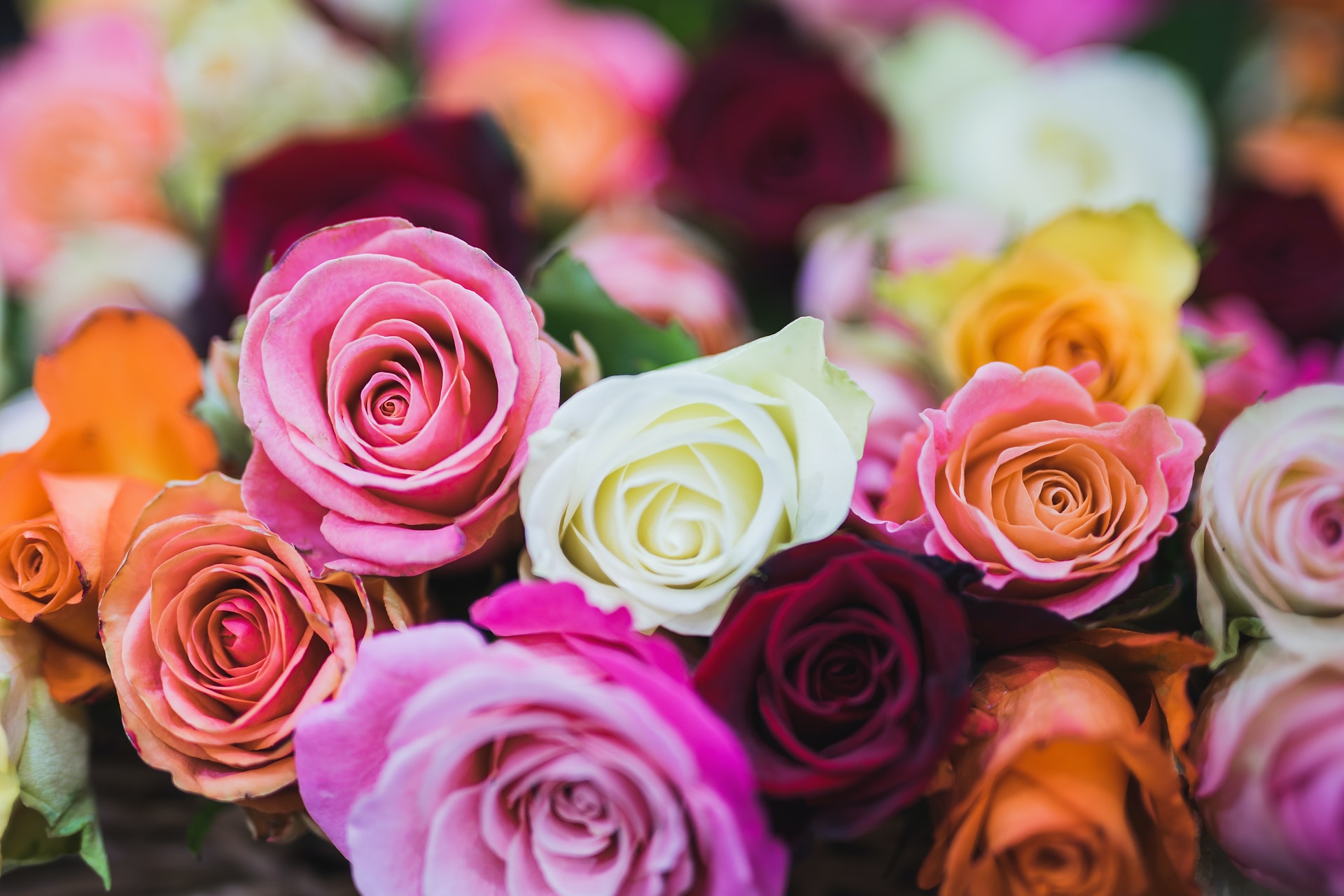 There's Nothing Like the Color and Smell of Fresh Flowers