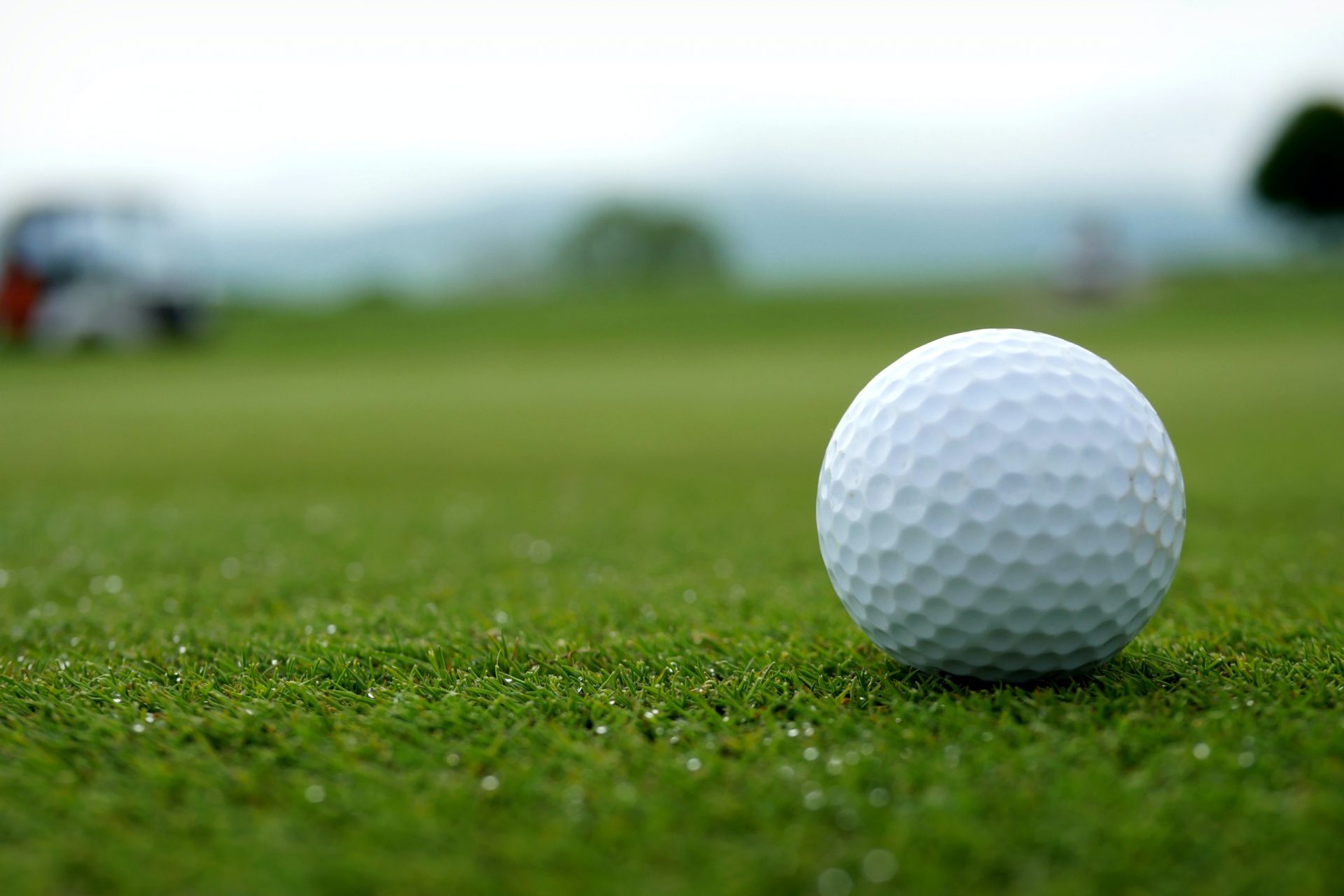 Hit The Links & Have Some Fun!