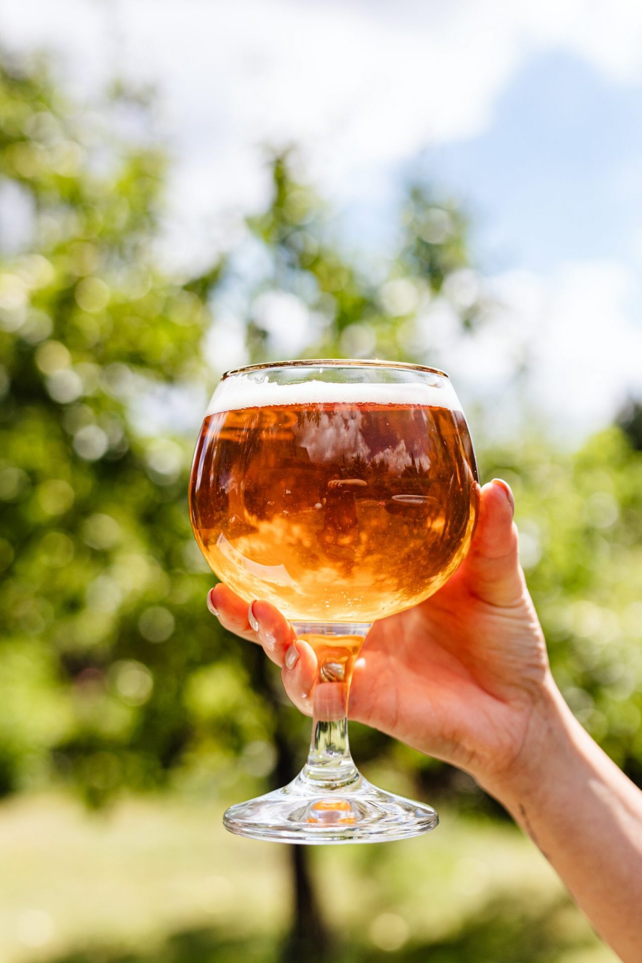 Find a New Favorite from One of Our Local Breweries